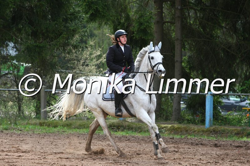 204M9105_Daikir_Stil Ax.JPG